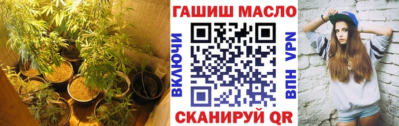 MEGA как зайти  Приозерск  Дистиллят ТГК гашишное масло 