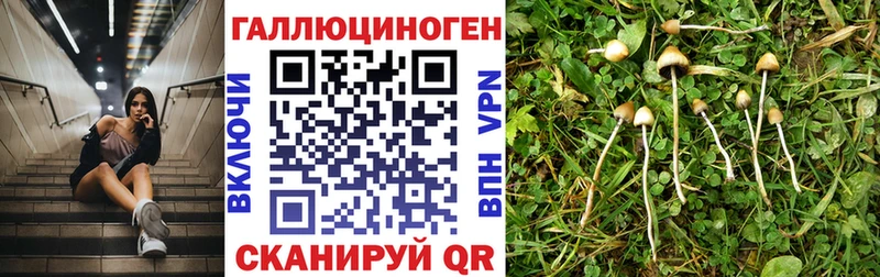 Галлюциногенные грибы мицелий  Приозерск 